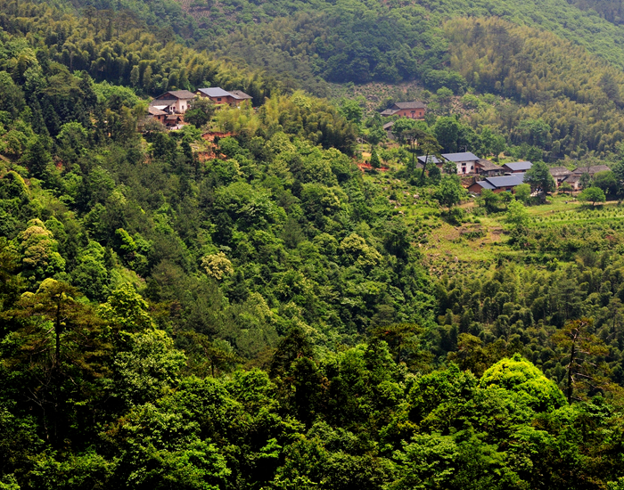 馮家頂